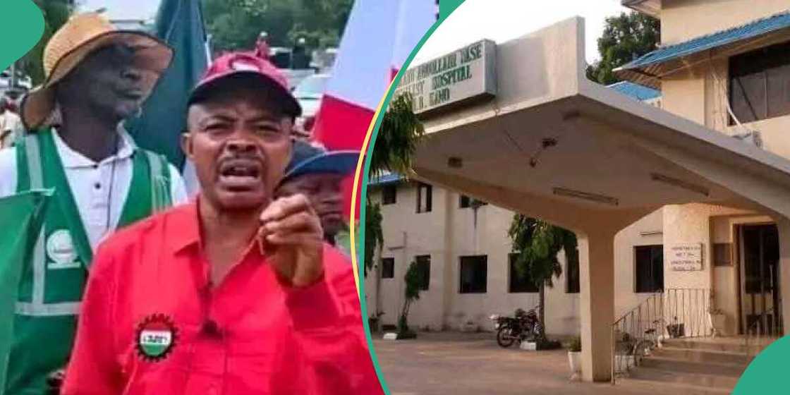 Asibitin Kano Asibitin Kano