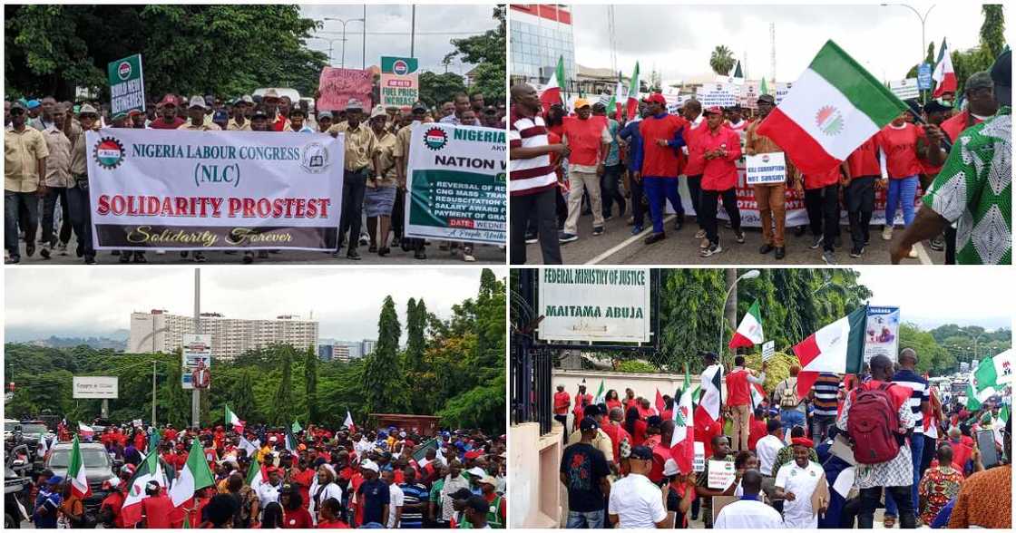 NLC strike/Strike/NLC protest/protest