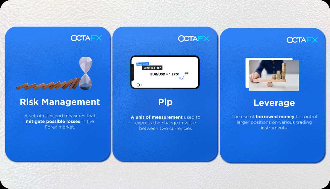 Trading Forex as a Beginner: 5 Tips and 10 Terms You Need to Know