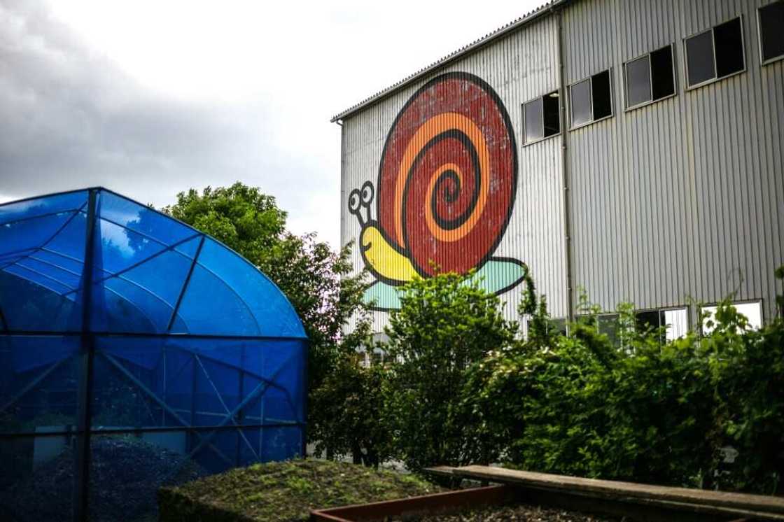 A mural of a Burgundy snail gazes down at the Mie Escargots Development Laboratory in Matsusaka