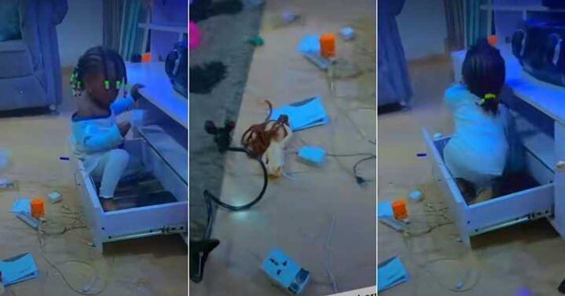 Little girl scatters house Little girl scatters house