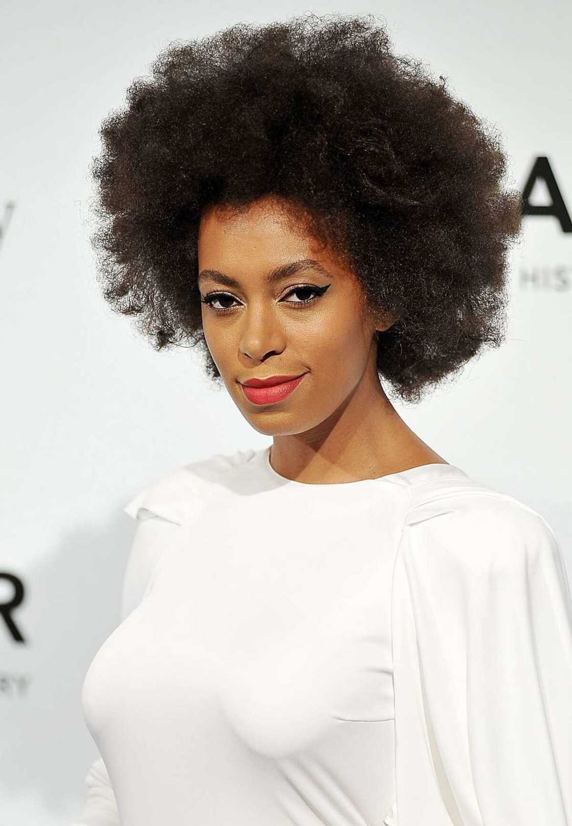 Afro hair styles for ladies Afro hair styles for ladies