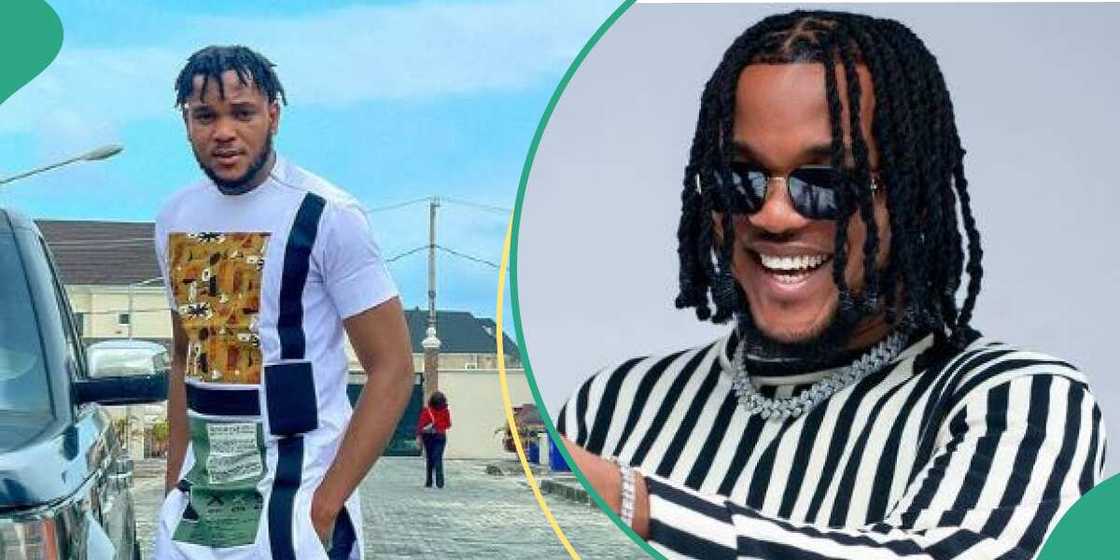 Content creator Zfancy Content creator Zfancy