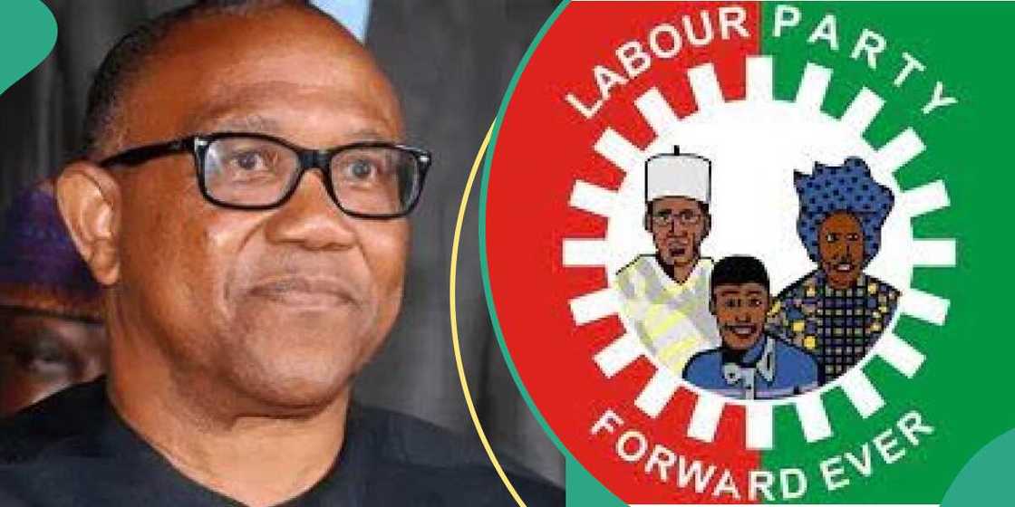 LP has changed its 'Obidient directorate' LP has changed its 'Obidient directorate'