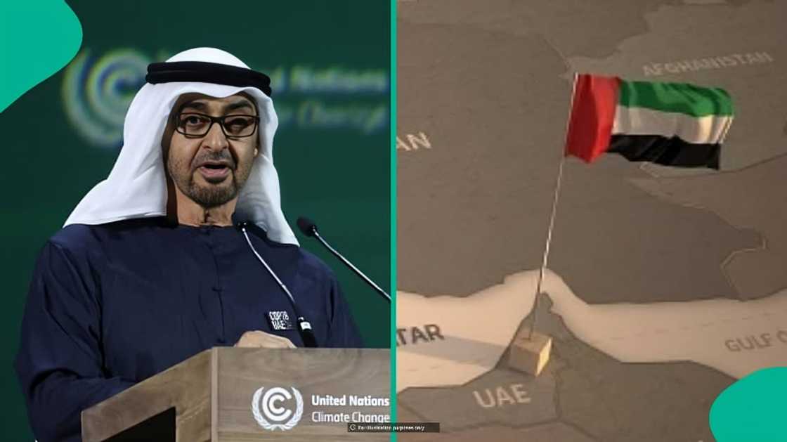 UAE golden visa: 100 universities whose graduates are eligible