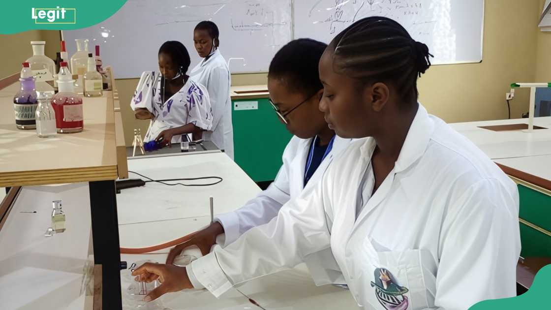 Crawford University Science students performing an experiment