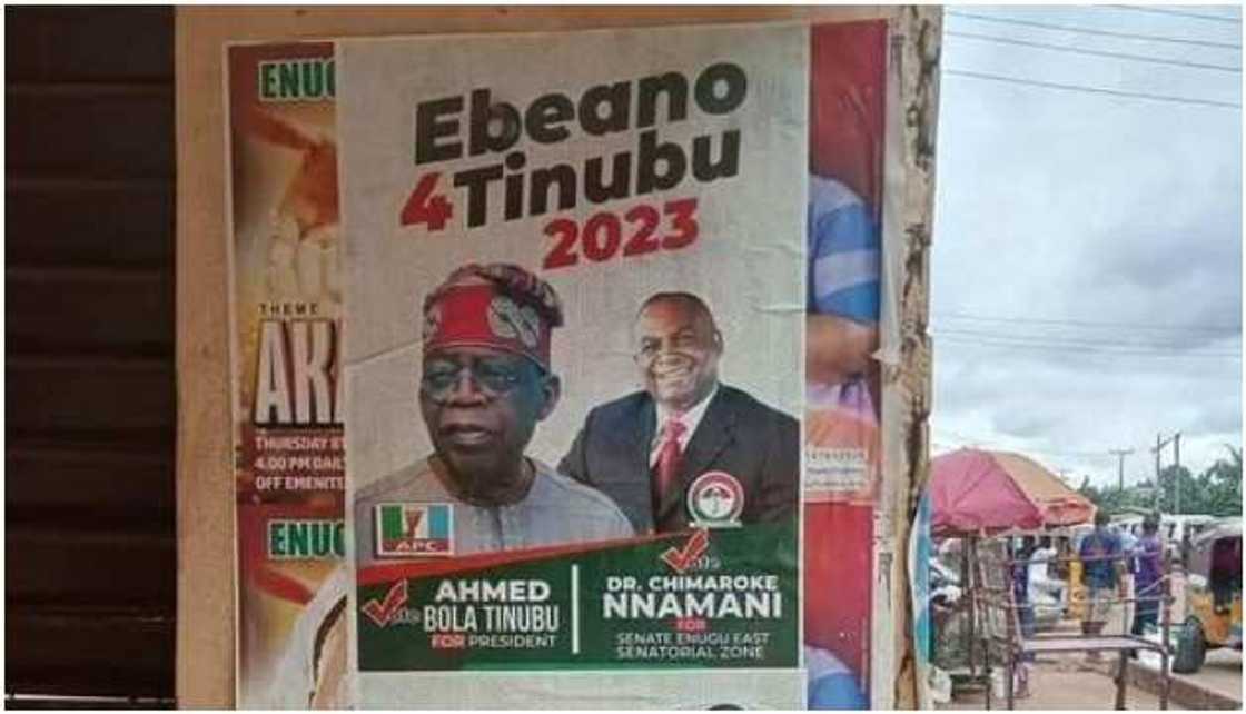 Tinubu, Chimaroke Tinubu, Chimaroke