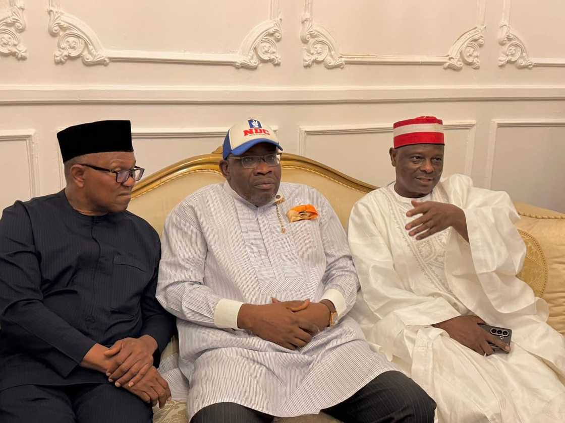 Dickson ya kare rajistar jam'iyyar NDC