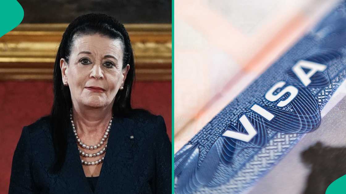 See category of foreigners exempt from paying Malta long-term visa fee