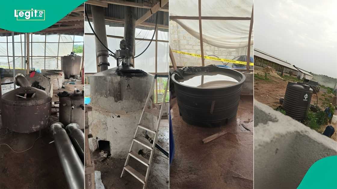 NDLEA uncovers hidden Ogun forest meth lab tied to Nigerian-Mexican cartel, Marwa confirms major arrests