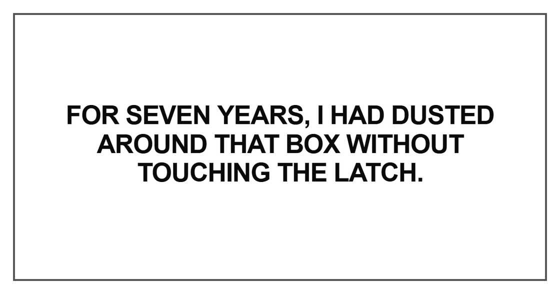 For seven years, I had dusted around that box