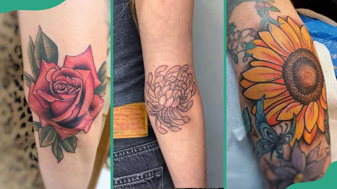 Rose (R), chrysanthemum (C), and sunflower (R) Rose (R), chrysanthemum (C), and sunflower (R)