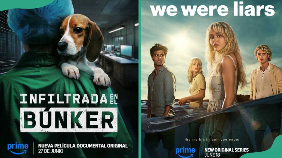 Watch Infiltrada en el búnker (L), and We Were Liars (R) posters Watch Infiltrada en el búnker (L), and We Were Liars (R) posters