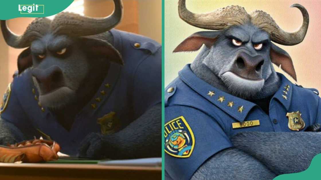Angry Chief Bogo