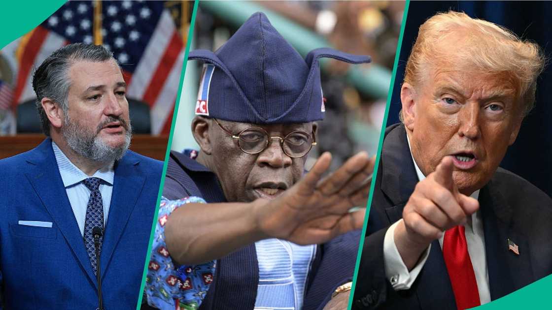 US Senator Ted Cruz announces plans to introduce a bill targeting Nigeria’s Sharia and blasphemy laws. US Senator Ted Cruz announces plans to introduce a bill targeting Nigeria’s Sharia and blasphemy laws.