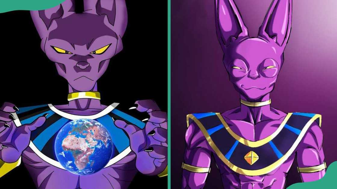 Beerus from Dragon Ball Super Beerus from Dragon Ball Super