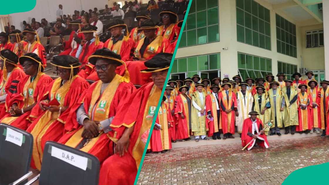 NOUN male and female graduates NOUN male and female graduates