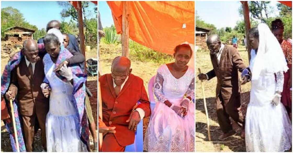 Amaryar tsoho Amaryar tsoho