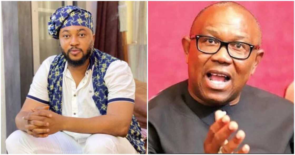 Nosa Rex reveals why Peter Obi might not become president Nosa Rex reveals why Peter Obi might not become president