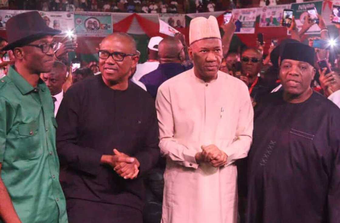 Peter Obi-Baba-Ahmed/Labour Party/Campaign Council List/Doyin Okupe/2023 Elections Peter Obi-Baba-Ahmed/Labour Party/Campaign Council List/Doyin Okupe/2023 Elections