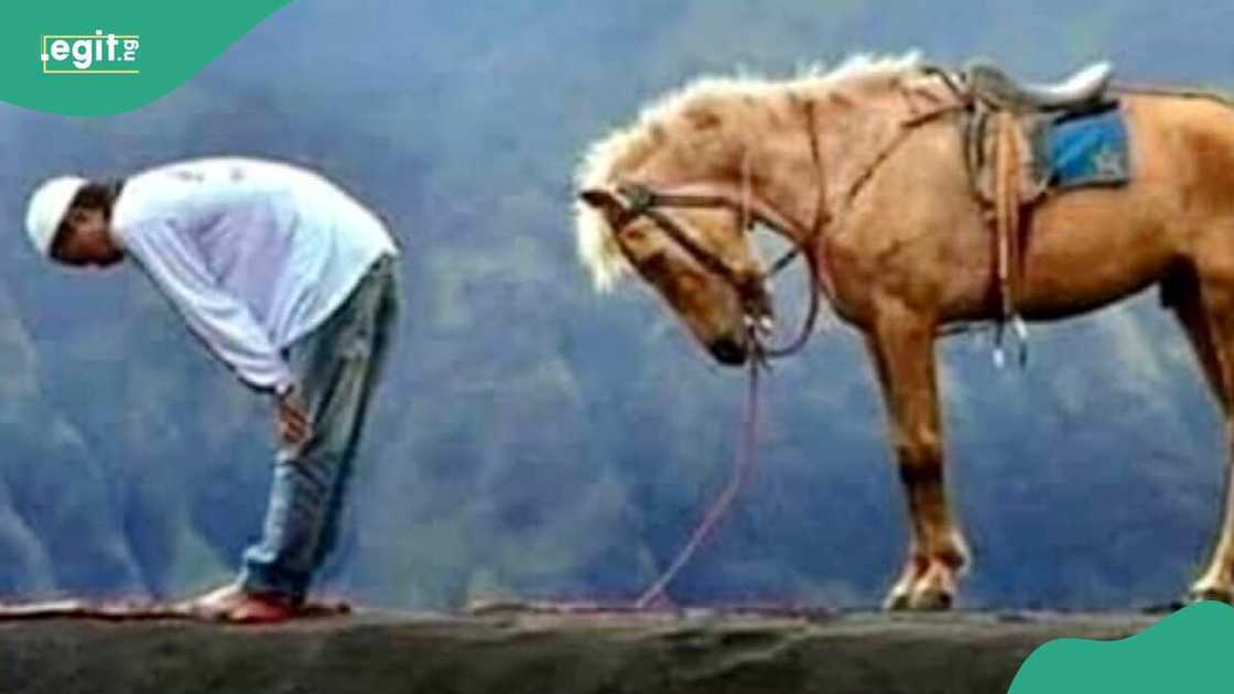 Indonesia/Islam/Details of Imam who passed away during prayer Indonesia/Islam/Details of Imam who passed away during prayer