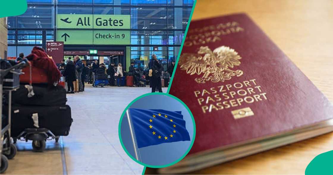 EU lists 4 categories of people exempted from Schengen visa fee. EU lists 4 categories of people exempted from Schengen visa fee.