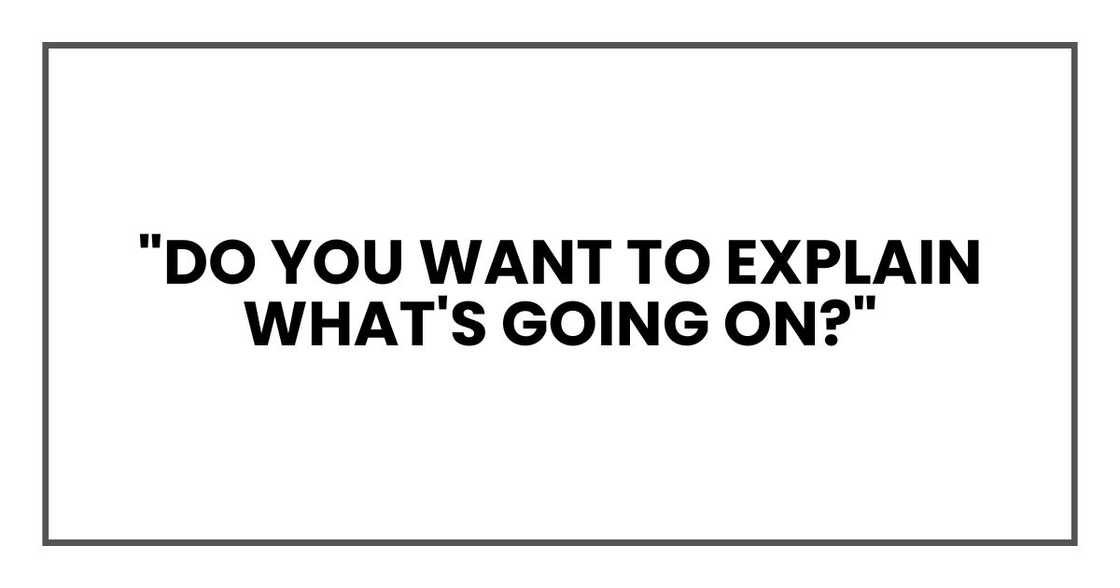 "Do you want to explain what's going on?"