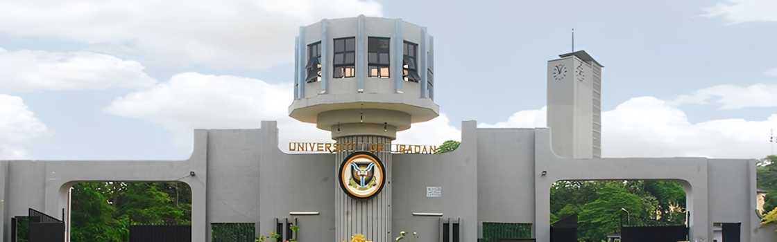 Ibadan University