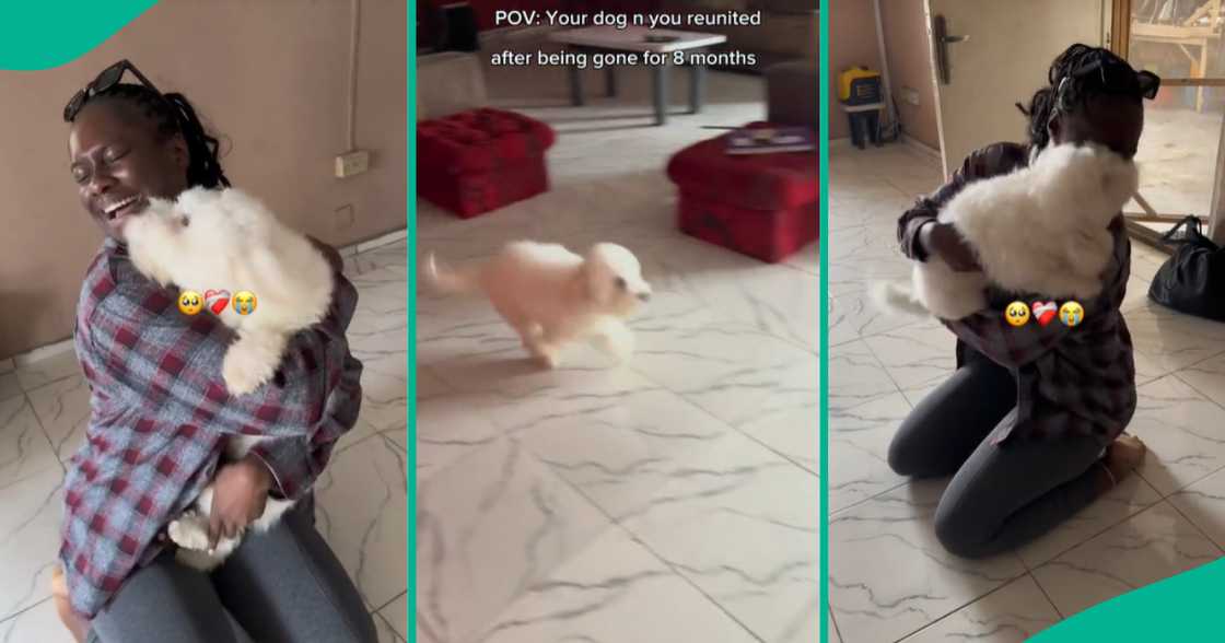 Keeping dogs in Nigeria/Emotional reunion. Keeping dogs in Nigeria/Emotional reunion.
