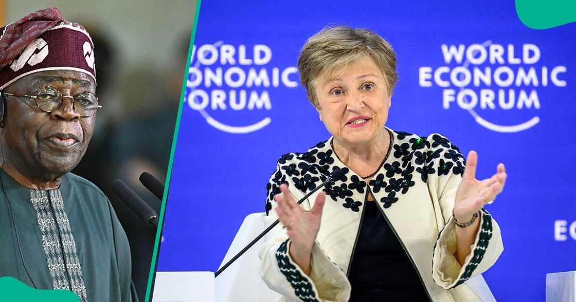 IMF, Nigeria's economy, Africa's largest economies in 2026 IMF, Nigeria's economy, Africa's largest economies in 2026