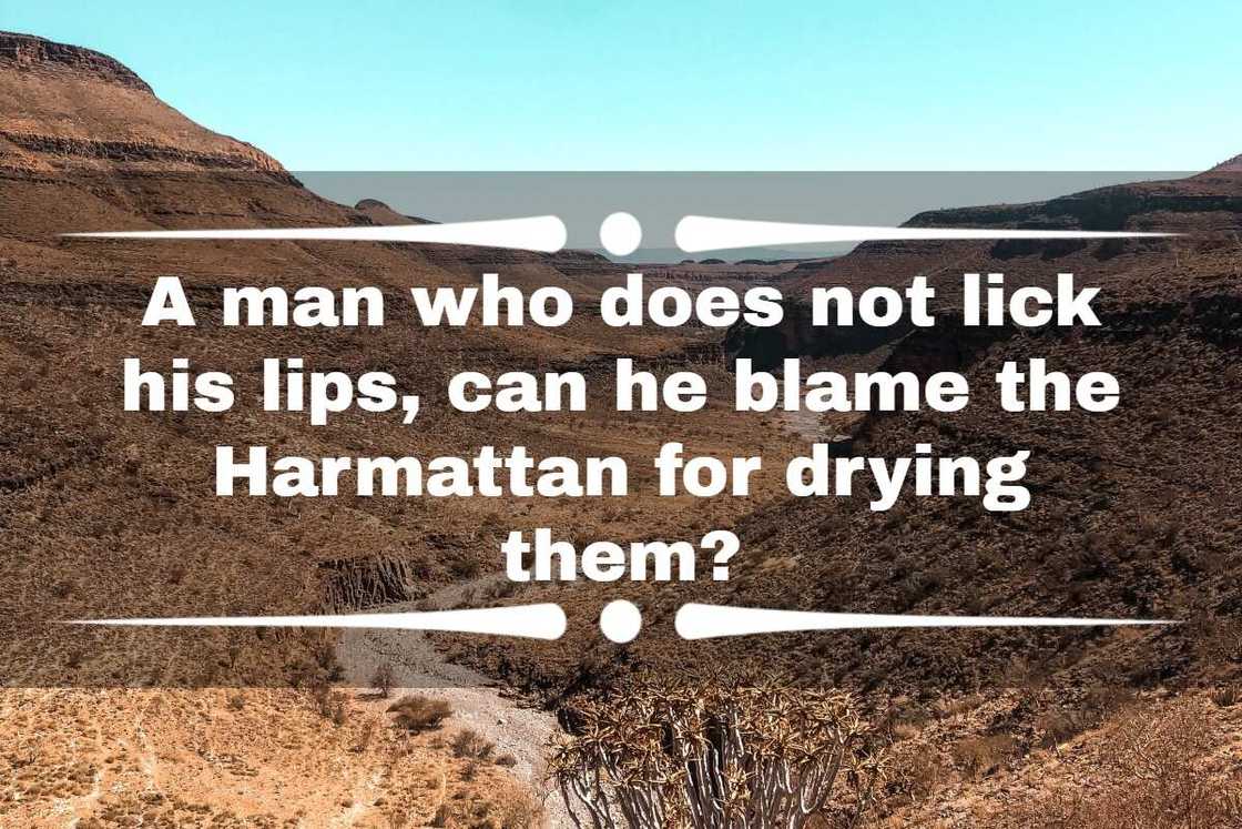 Harmattan season quote