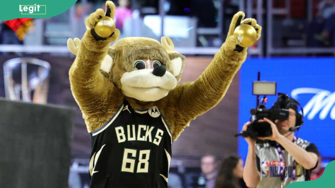The Milwaukee Bucks mascot, Bango, prepares to throw toy balls to fans in the second half of a semifinal game between the Bucks and the Atlanta Hawks at T-Mobile Arena The Milwaukee Bucks mascot, Bango, prepares to throw toy balls to fans in the second half of a semifinal game between the Bucks and the Atlanta Hawks at T-Mobile Arena
