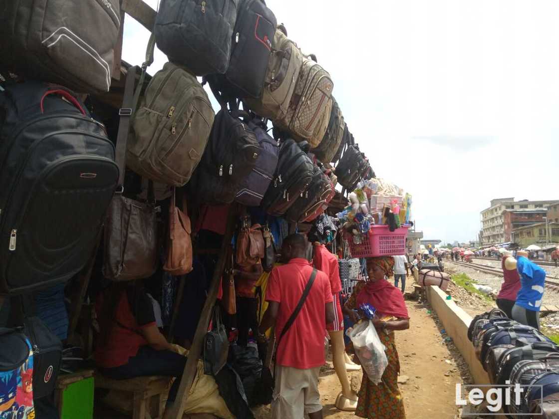 Legit.ng weekly price check: Cost price of bags rise further in popular Lagos market ahead of Yuletide Legit.ng weekly price check: Cost price of bags rise further in popular Lagos market ahead of Yuletide