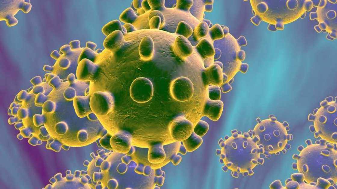 Coronavirus symptoms Coronavirus symptoms