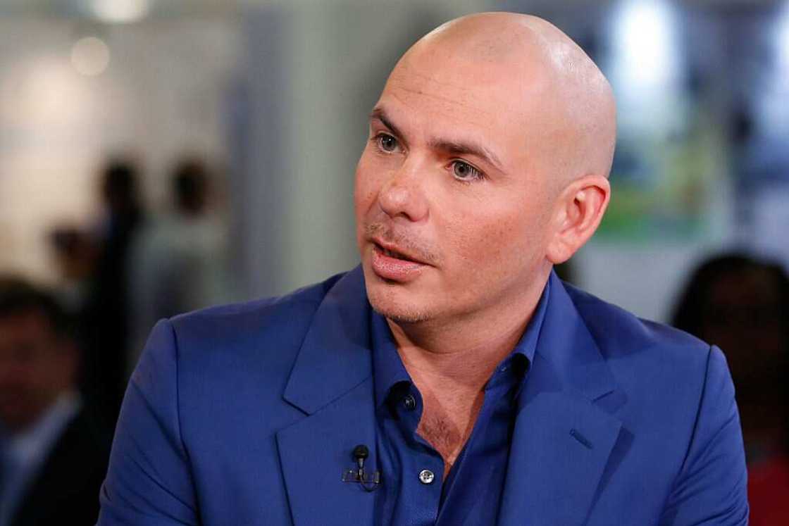 Pitbull’s relationship Pitbull’s relationship