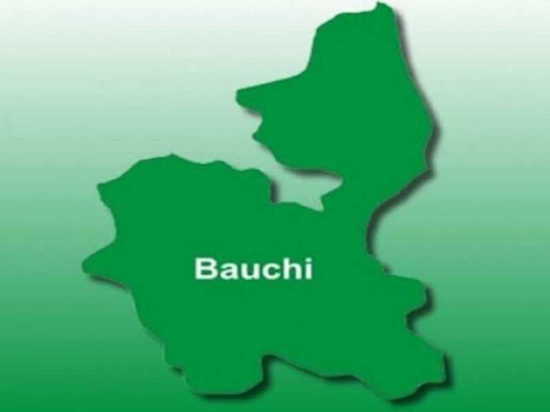 Taswirar jihar Bauchi.