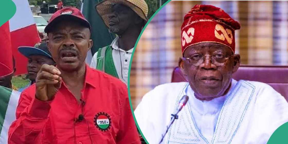 NLC, Tinubu, power sector, TCN, FG NLC, Tinubu, power sector, TCN, FG