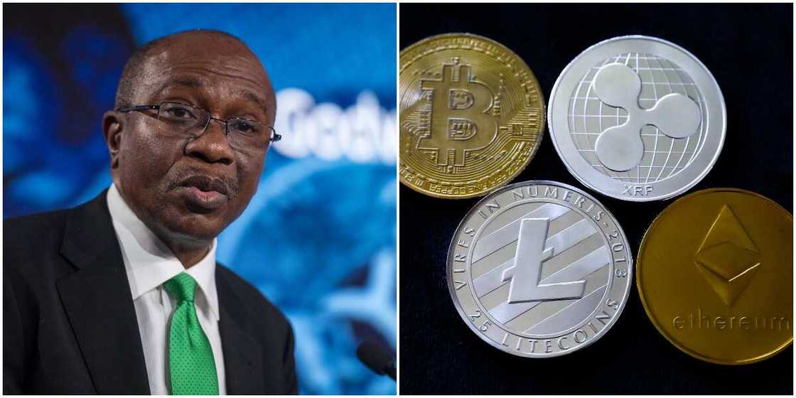 CBN to Launch Nigeria's Cryptocurrency This Year, Months After Ban CBN to Launch Nigeria's Cryptocurrency This Year, Months After Ban