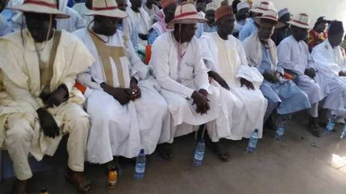 Miyetti Allah: Tura ta kai bango, zamu mayar da martani akan kisan makiyaya Miyetti Allah: Tura ta kai bango, zamu mayar da martani akan kisan makiyaya