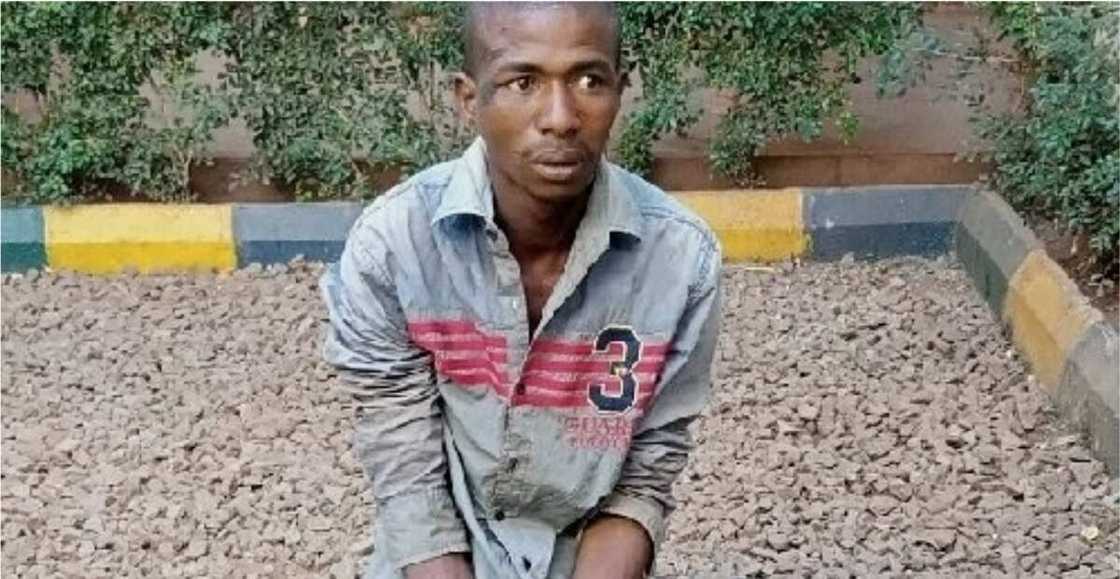 Herdsman who reportedly forced woman to death begs for forgiveness Herdsman who reportedly forced woman to death begs for forgiveness
