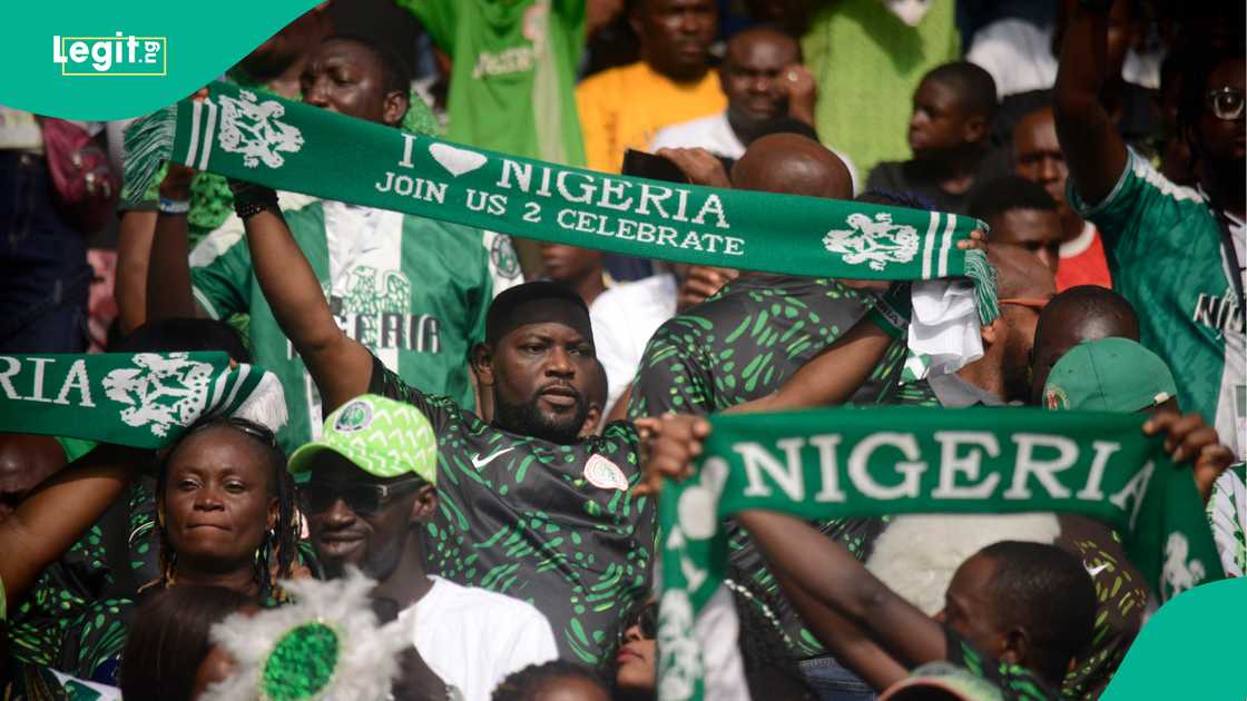 Super Eagles, Nigerian fans, Osasu Obayiuwana, World Cup, FIFA, Playoff, CAF
