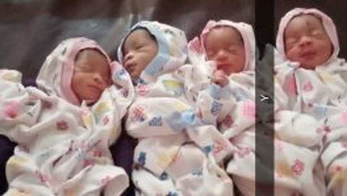 Uwar 'ya'ya 13 ta haifi 'yan hudu a Zaria Uwar 'ya'ya 13 ta haifi 'yan hudu a Zaria