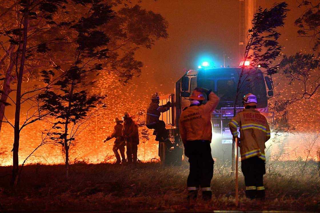 Over 1 billion animals killed as Australia's bushfires rage on