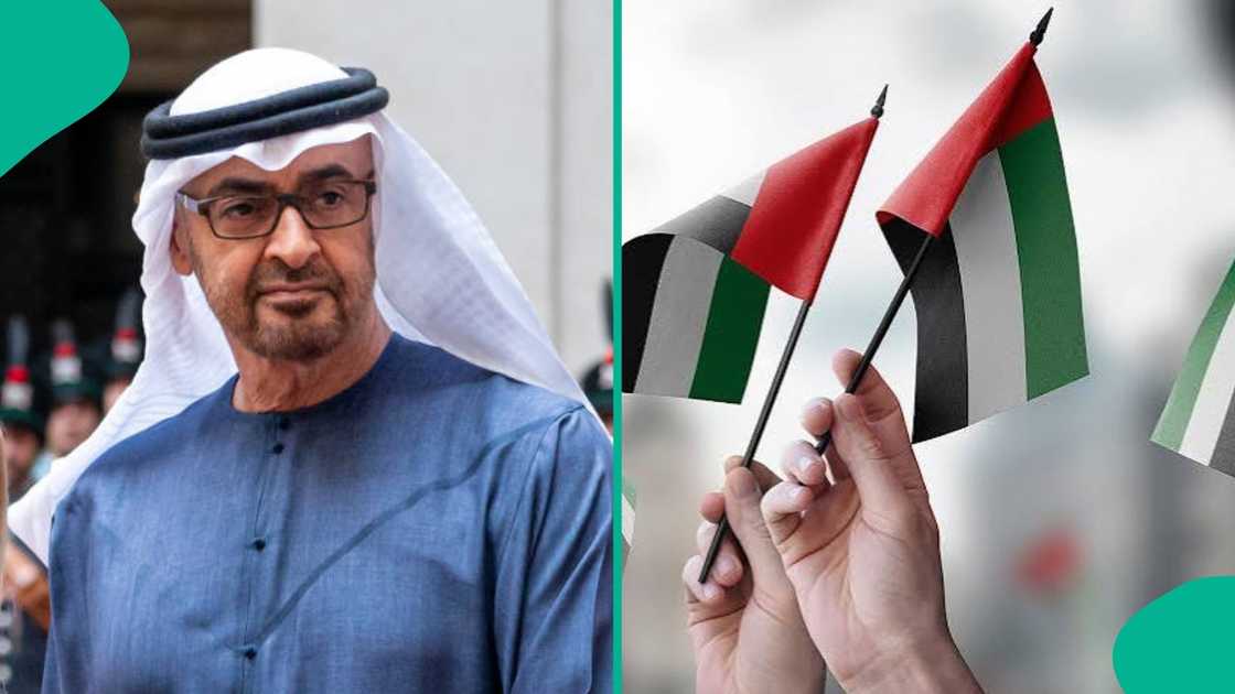 UAE publishes activities that grants foreigners passage with visit visa UAE publishes activities that grants foreigners passage with visit visa