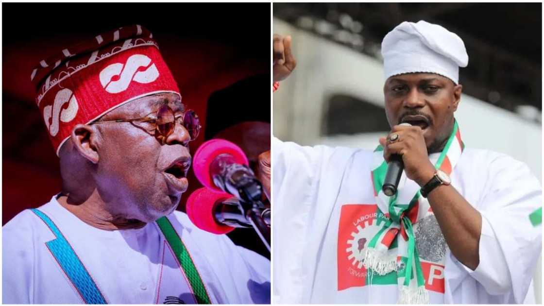 Bola Tinubu/Gbadebo Rhodes-Vivour/Babajide Sanwo-Olu/APC/Labour Party/Lagos/2023 Election