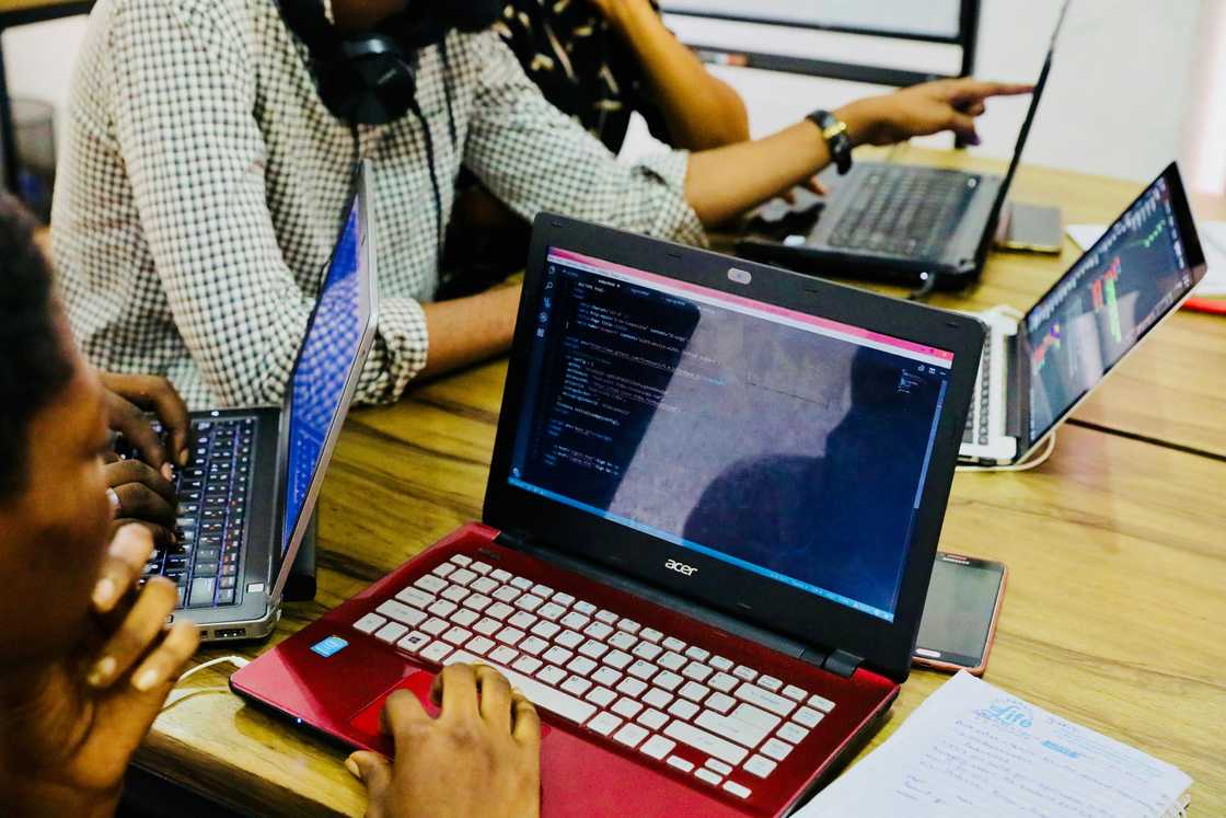 Students coding together in the university Students coding together in the university