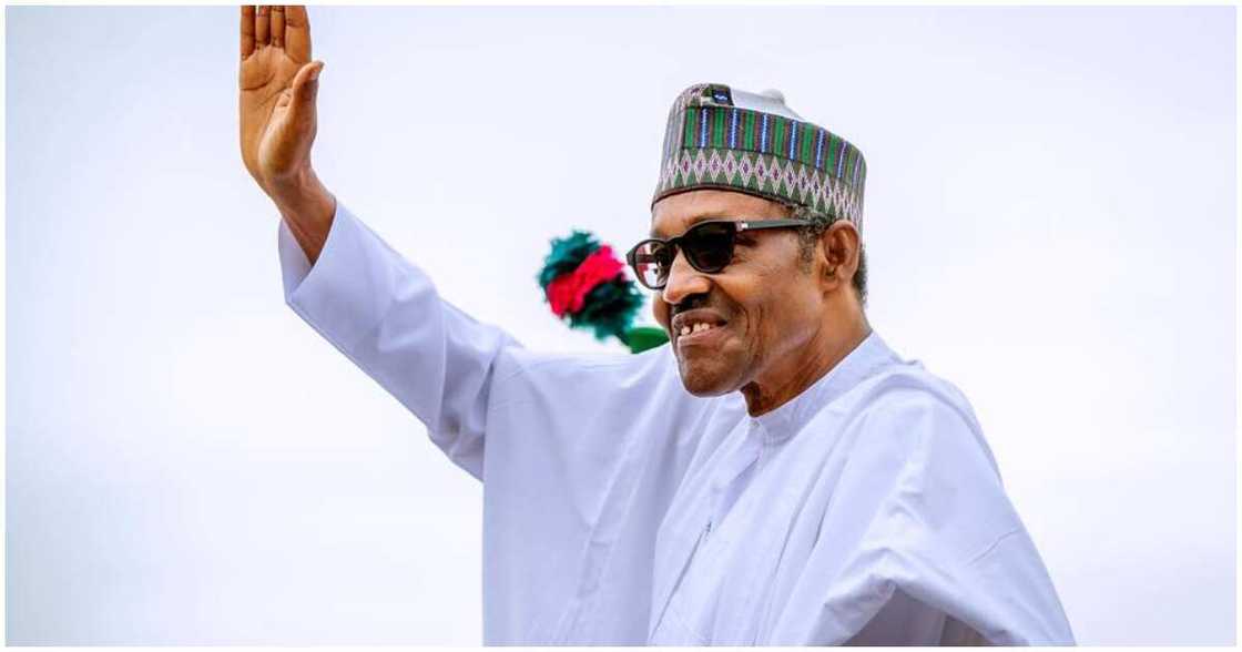 Buhari left Daura/ Buhari ran away from Daura/ Buhari ran away from hometown Buhari left Daura/ Buhari ran away from Daura/ Buhari ran away from hometown