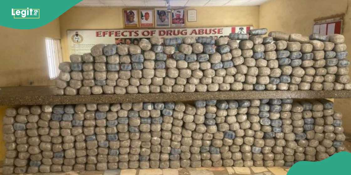 NDLEA intercepts US, Saudi-bound illicit drugs at Lagos airport NDLEA intercepts US, Saudi-bound illicit drugs at Lagos airport
