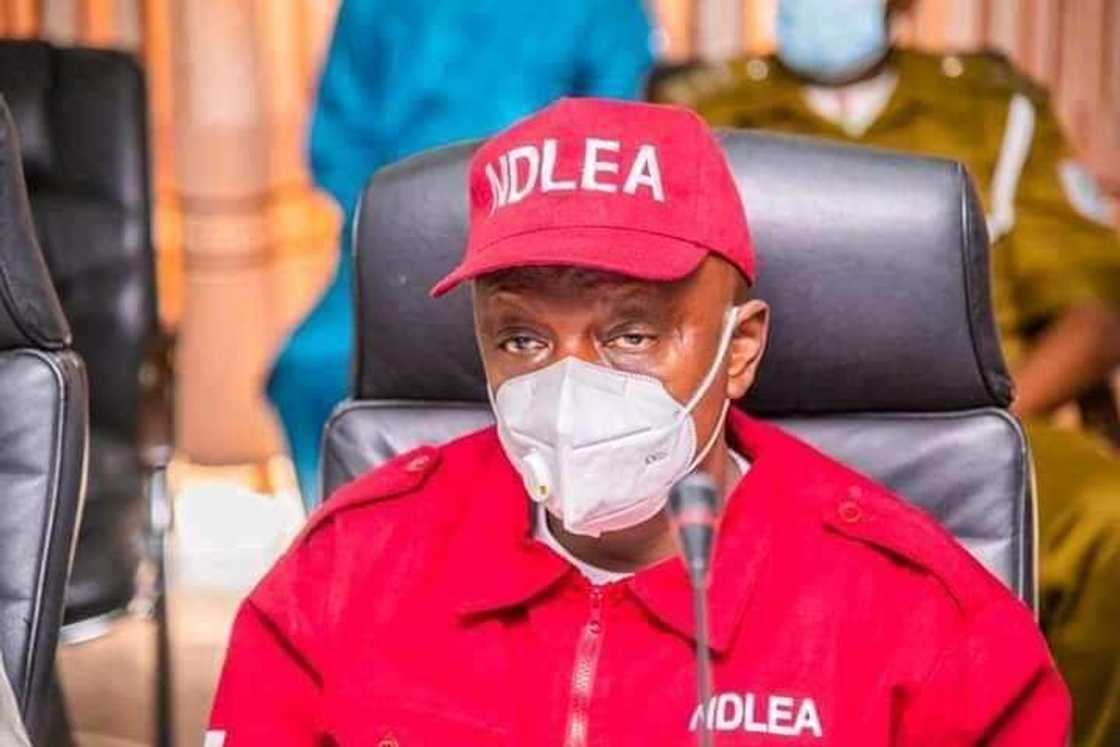 Employment Opportunity: NDLEA Releases List of Candidates for Final Screening Employment Opportunity: NDLEA Releases List of Candidates for Final Screening