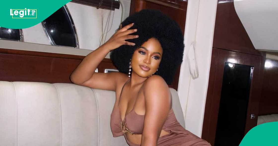 Fans react as Bright the seer shares prophecy about Phyna.